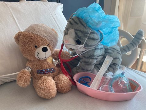 A plush cat nurse provides care for a teddy bear patient.