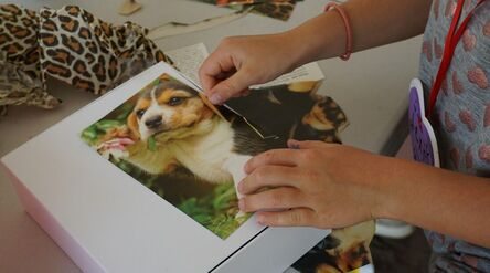 A person flips through a book with a photo of a dog inside the pages