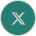 x icon