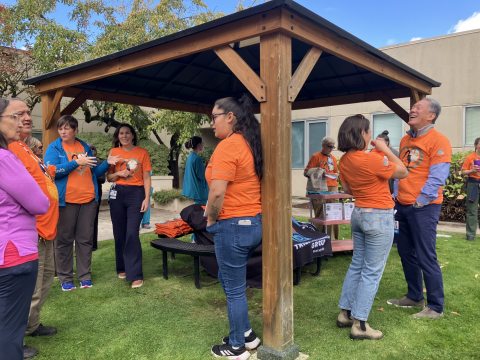 Orange T-shirt group underneath shelter