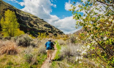 Older hiker walks up a hill on a sunny day.