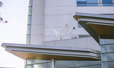 Dove statue at PeaceHealth Southwest Medical Center