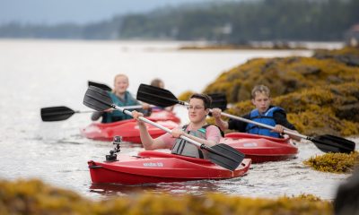 Three people kayaking around kelp-covered rocks near the shoreline