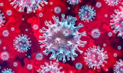 Blue tinted coronavirus cells floating in a background of red 
