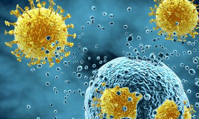 Coronavirus cells with blue and yellow coloring