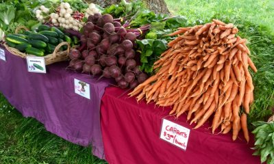 A farm stand with bunches of carrots, beets, cucumbers and other vegetables piled on top