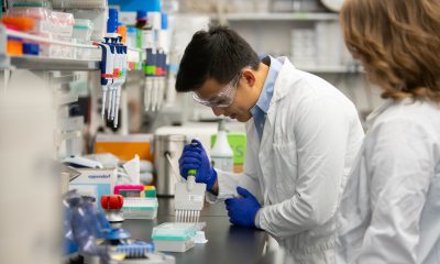 A lab technician works at a station