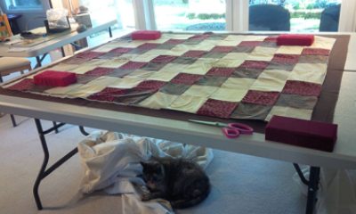 Beth's cat, Jasmine, cuddles under the table laid out with Beth's next quilt top. 