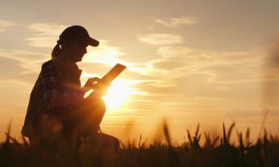 adult woman consults a tablet on a farm