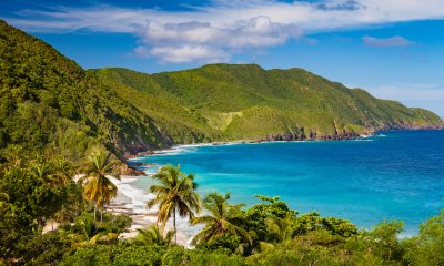 A panoramic tropical scene of palm tress next to idyllic blue waters