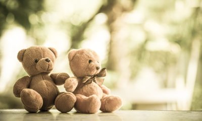 Two teddy bears 