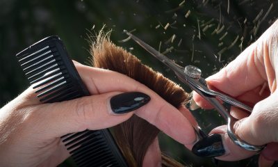 Scissors cutting hair