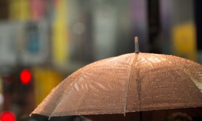 Umbrella with raindrops