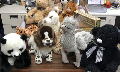 Donated stuffed animals sit on a table at a Vancouver PeaceHealth Pharmacy location