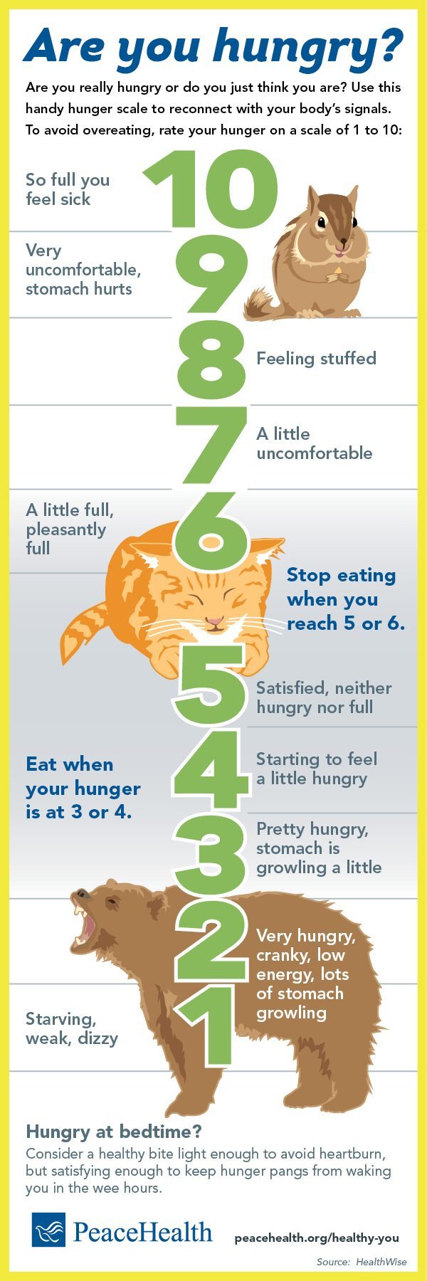 Are You Hungry | Infographic Healthy You