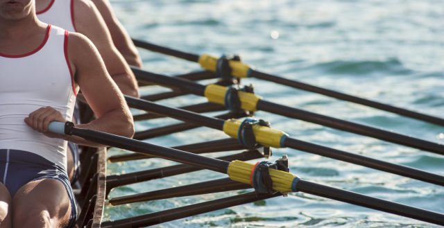 Close-up of rowers and oars on the water