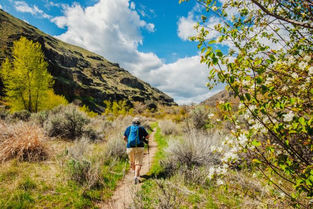 Older hiker walks up a hill on a sunny day.