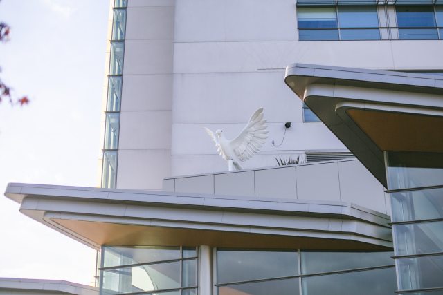 Dove statue at PeaceHealth Southwest Medical Center