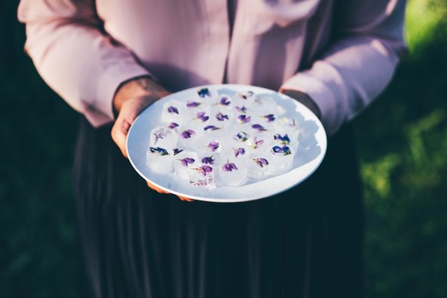 Person holds plate of fancy ice cubes
