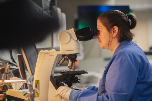 A caregiver in a medical lab studies samples under a microscope