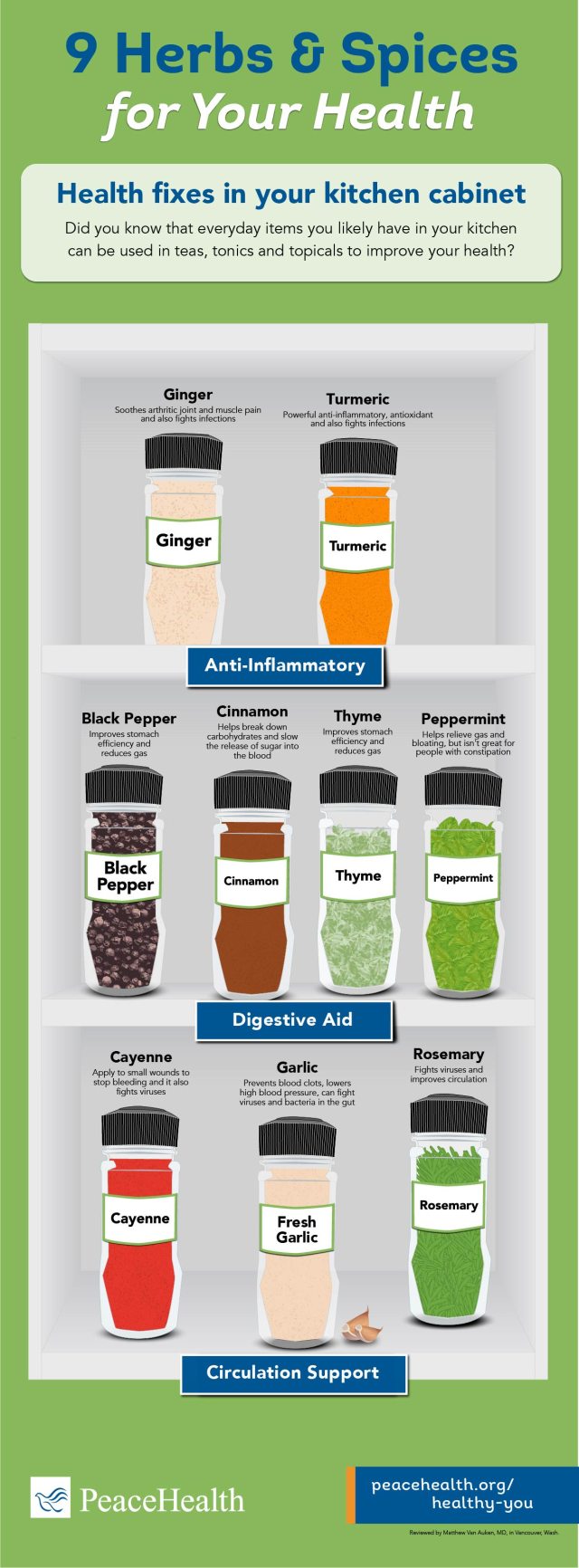 9 herbs and spices infographic