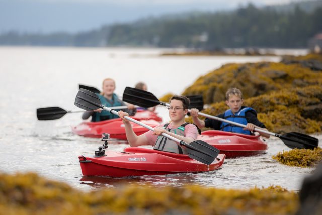 Three people kayaking around kelp-covered rocks near the shoreline