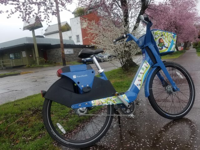 PeaceHealth Rides bicycle sitting in the rainy weather