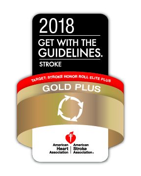 2018 Get with the Guidelines Gold Plus Stroke Award badge 