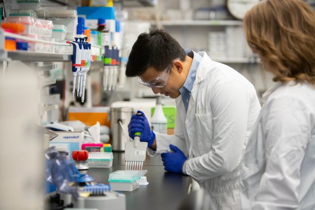 A lab technician works at a station