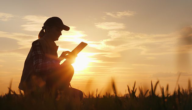 adult woman consults a tablet on a farm