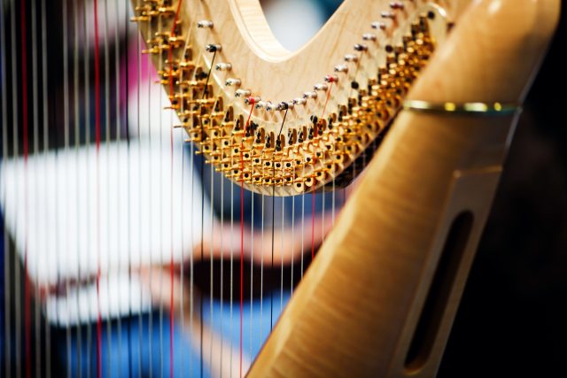 Harp