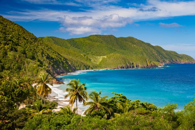 A panoramic tropical scene of palm tress next to idyllic blue waters