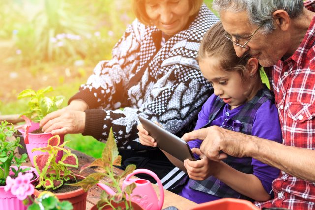 A child and grandparents looking at an ipad while potting planters