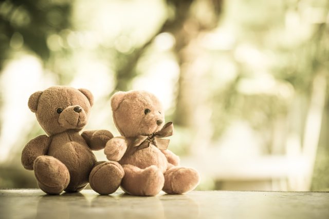 Two teddy bears 