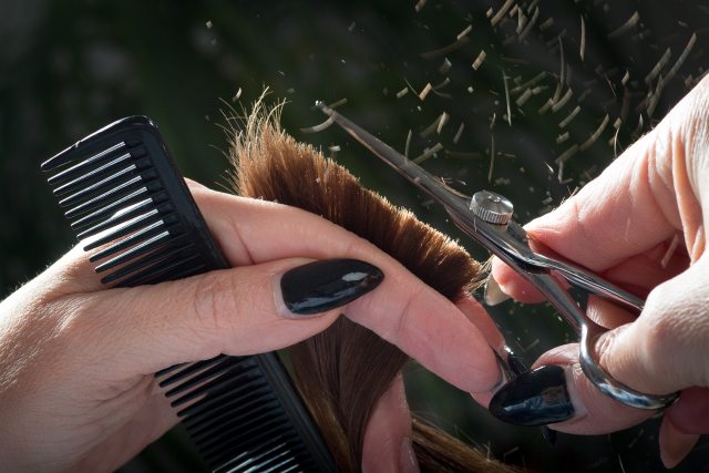 Scissors cutting hair