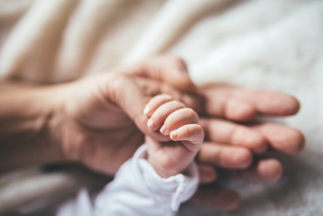Adult and baby holding hands.