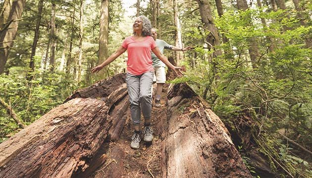 people walking in the woods
